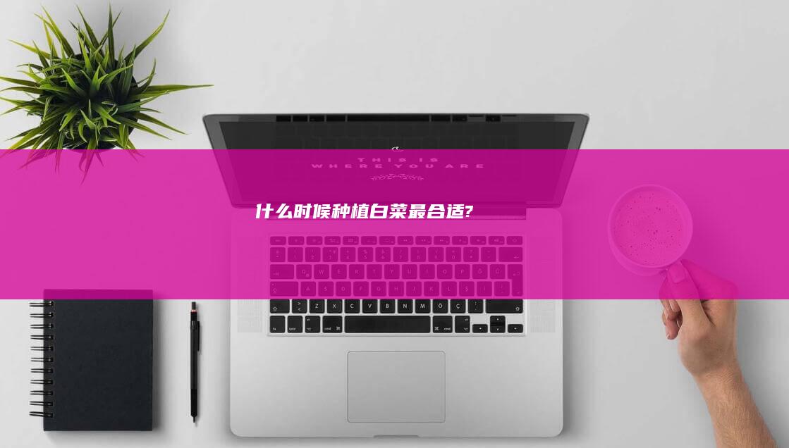 什么时候种植白菜最合适?