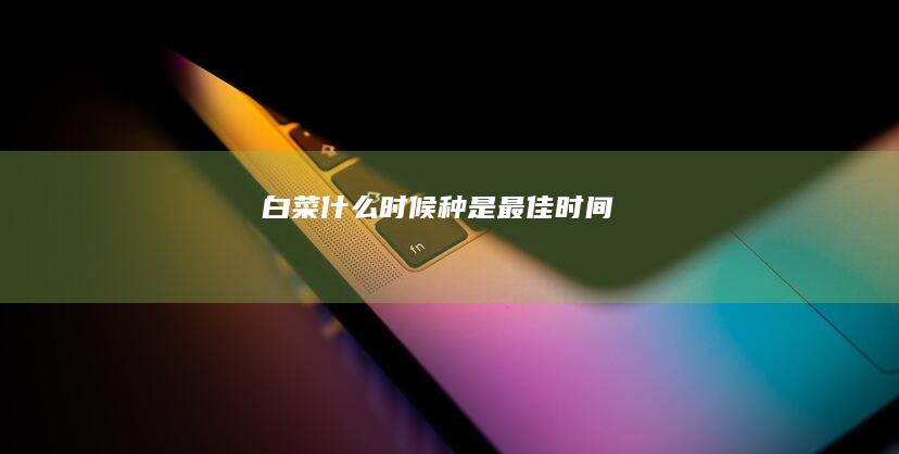 白菜什么时候种是最佳时间