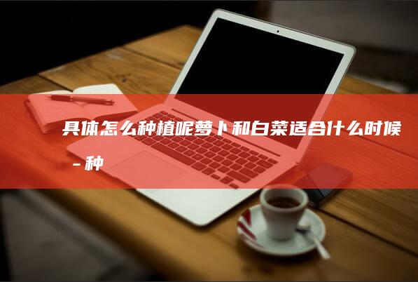 具体怎么种植呢-萝卜和白菜适合什么时候播种