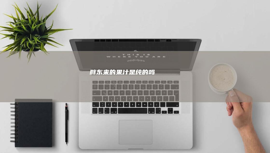 胖东来的果汁是纯的吗